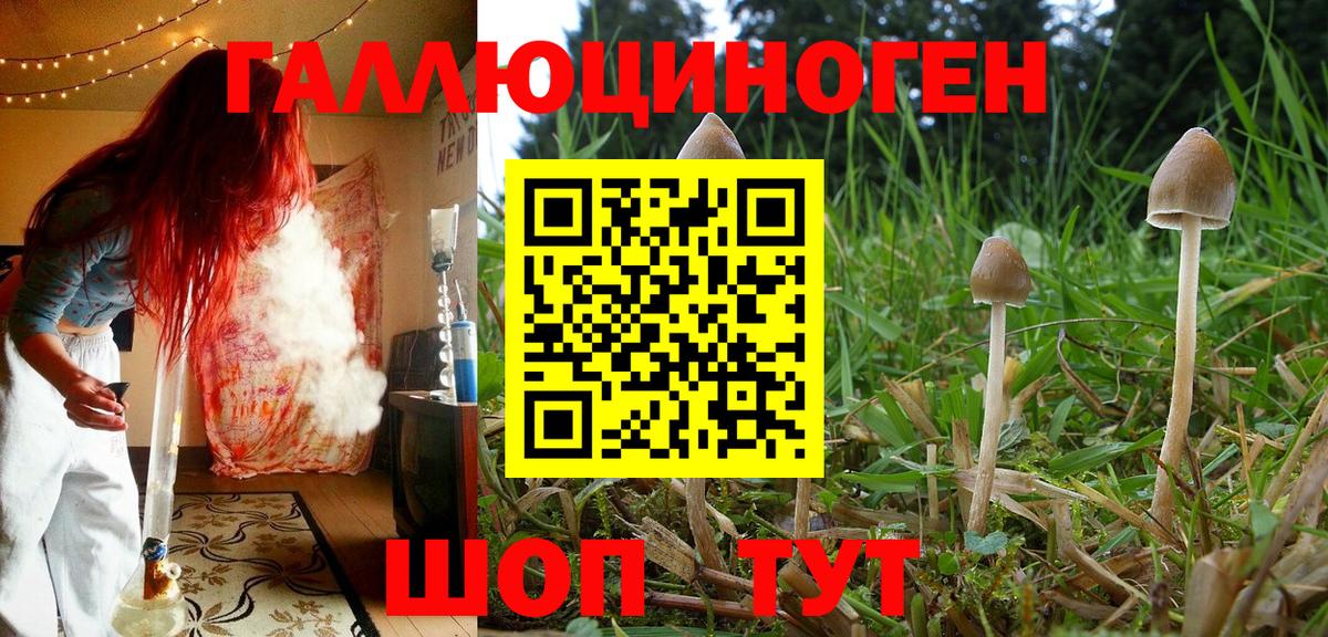 Галлюциногенные грибы прущие грибы Каменск-Шахтинский