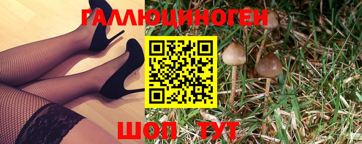 Галлюциногенные грибы Psilocybe  Галлюциногенные грибы Cubensis  Вход с VPN  Каменск-Шахтинский 